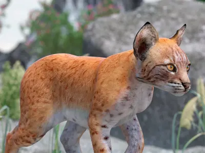  Lynx Cub in Walking Pose for 3D Print 