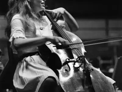 Cello Set 3D Model  Realistic Classical Interior Scene 3D model