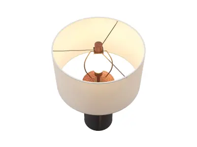 Ombre Distressed Leather Table Lamp 3D model