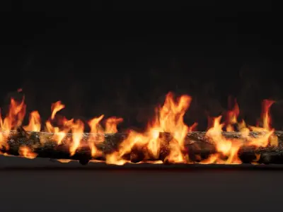 High-Resolution Burning log - vdb animated 3D model