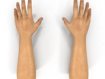  Man Hands 2 Rigged for Cinema 4D 