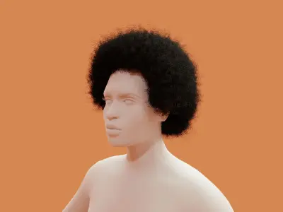 Afro Black Hair 3D model