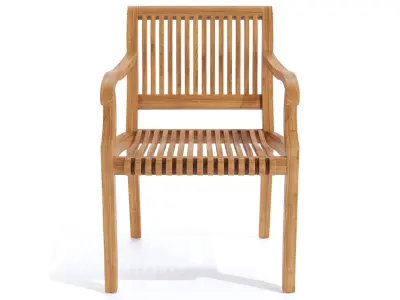 Palm Dining Armchair  3D model