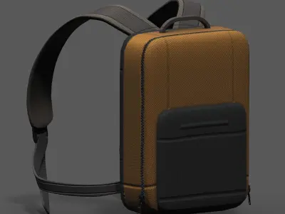 Backpack portfolio healthy camp clean  Low-poly 3D model