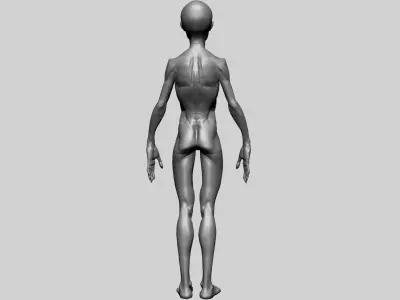 Creature Body Form H Free 3D model