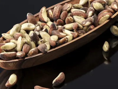Brazil nuts in a wooden nut bowl Low-poly 3D model