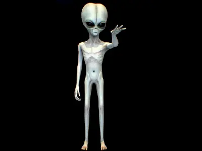 Realistic Alien 5 Small Grey Low-poly 3D model