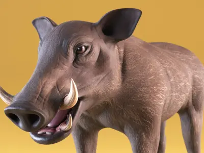  African Mammals Collection 