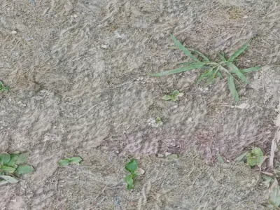 Road Surface 3D model