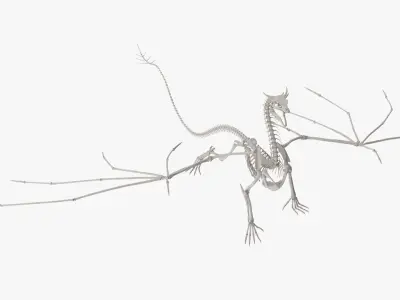  Fantasy Dragon Creature and Skeleton Rigged for Cinema 4D Collection 