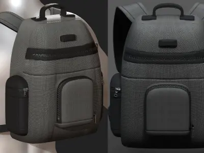 Backpack bag baggage Color 3d low poly Low-poly  3D model