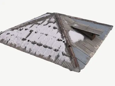 Old Roof Scan 3d model Low-poly 3D model
