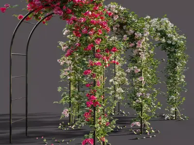 Arch pergola with roses 3D model