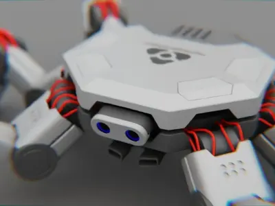 Spider Combat  rigged 3D model