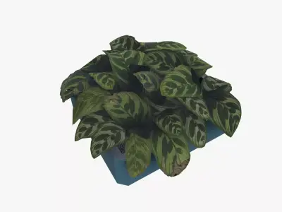 Office Indoor Plant Low-poly 3D model