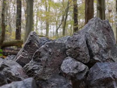  Moss 7 Species and Stones - PBR Asset Kit 