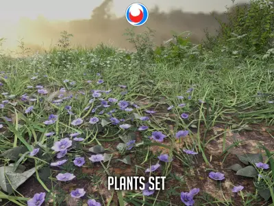 Forest Plant set Low-poly 3D model