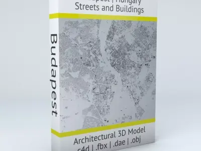 Budapest Streets and Buildings 3D model