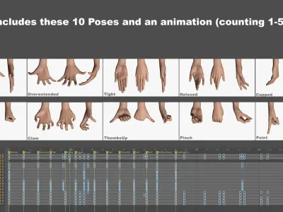  Rigged and Animated Hand (Female) 