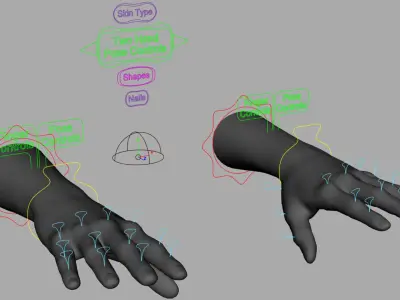  Customizable Rigged and Animated Hands 