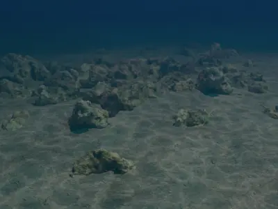  Sea Floor 