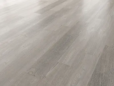 Wood Floor Set 19 Texture