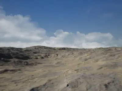 Arid Land PBR GameReady Low-poly 3D model