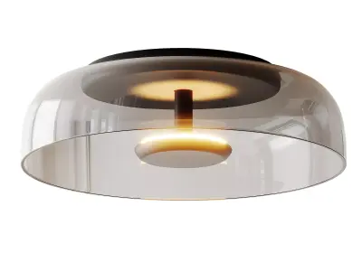 Bowl LED Flushmount Ceiling Lamp Modern 3D model