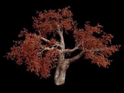red maple tree 3D model
