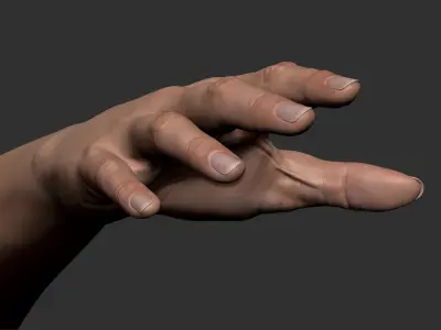  Realistic Female Arm 