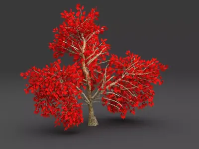 Maple red Tree 3D model