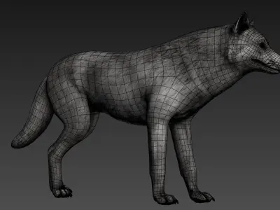 Wolf Realistic
