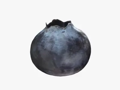  Blueberry - Photo Scan 