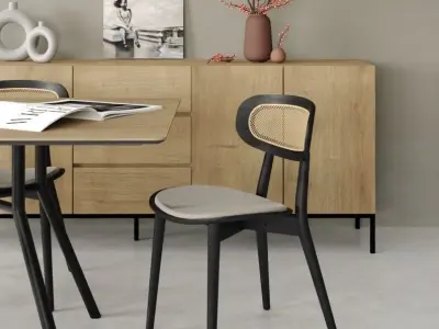 Dining set 01 3D model