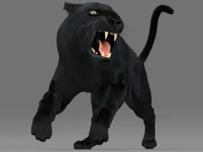  Leopard and Panther PACK Animated-Rigged-Fur 