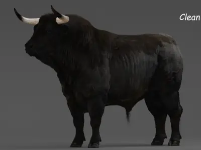  Bull ANIMATED 