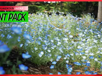 Street Garden in JAPAN - 4 Blue Baby Eyes Flower Grass Plant Low-poly 3D model