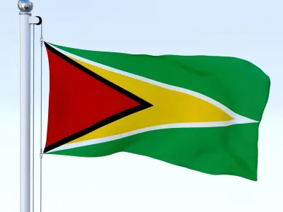 Animated Guyana Flag Low-poly 3D model