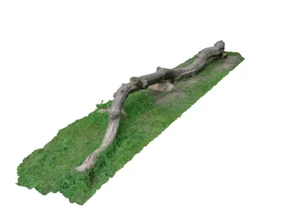 Tree trunk bench long Low-poly 3D model