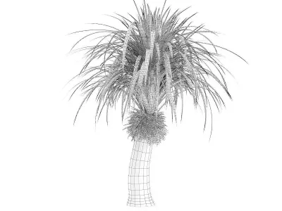 Small Palm Tree 3D model