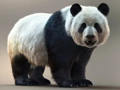  Giant Panda RIG XGEN-CORE 