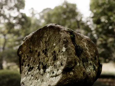 Natural Boulder 3D model