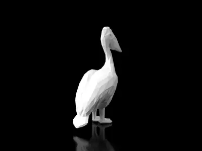 Pelican Low Poligonal Low-poly 3D model