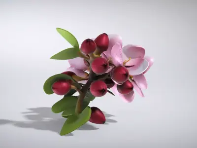 Crabapple Flower Cluster Photorealistic Macro Low-poly 3D model