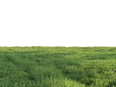 Grass for landscape 3D model