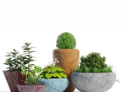 Mundo and Faceted 3D model