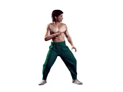LIU KANG FAN HD REMIX 3D model