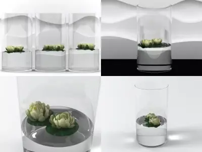 Water Lilies 3D model