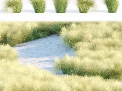 Grass for wild landscape collection vol 12 3D Model Pack