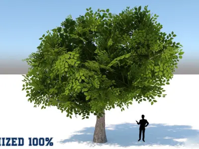 Tree Optimized Low-poly 3D model